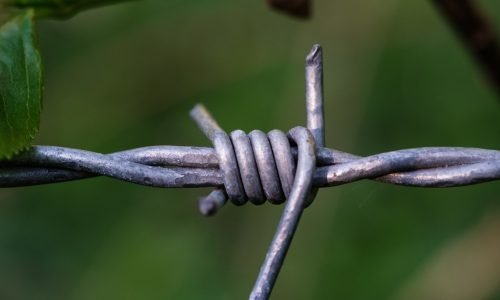 WhatsApp Image 2025-10-02 at 1.51.25 PM